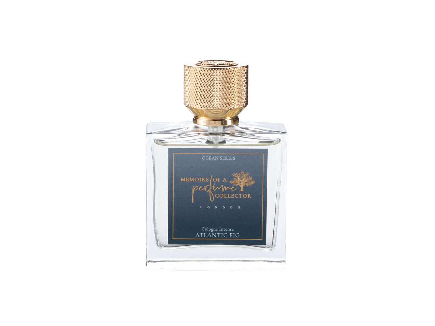 Memoirs of a Perfume Collector Atlantic Fig