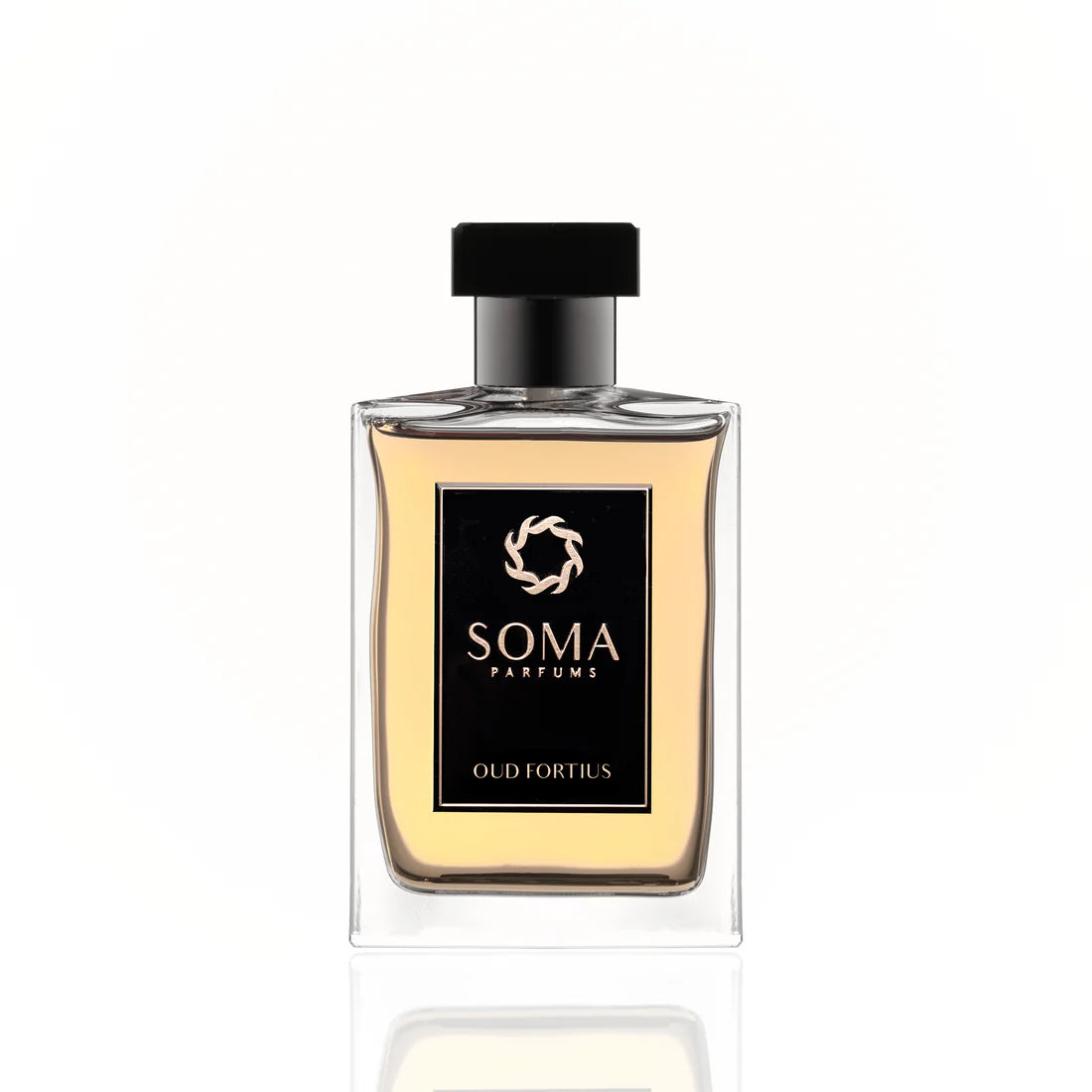 Oud Fortius