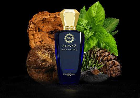 Ahwaz Oasis of the Sahara