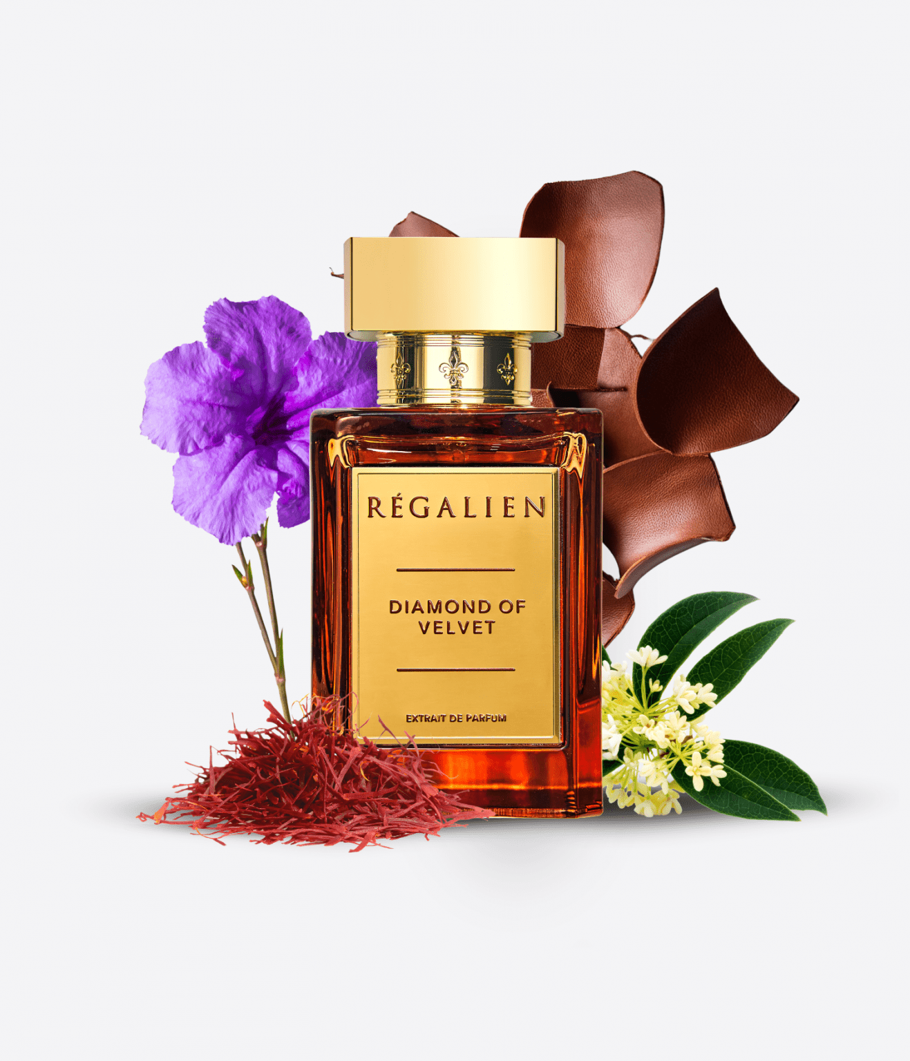 Regalien Diamond of Velvet